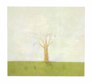 Hiroshi Sugito - Color Tree