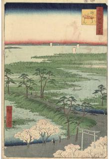 Hiroshige - Oban Tate-E