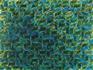 Hisao Domoto - ÉCLIPSE LUNARRE (LUNAR ECLIPSE)