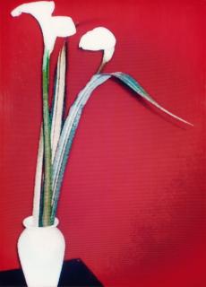 Holger Jacobs - »Les Fleurs«