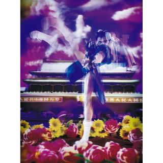 Hong Donglu - Chun Li