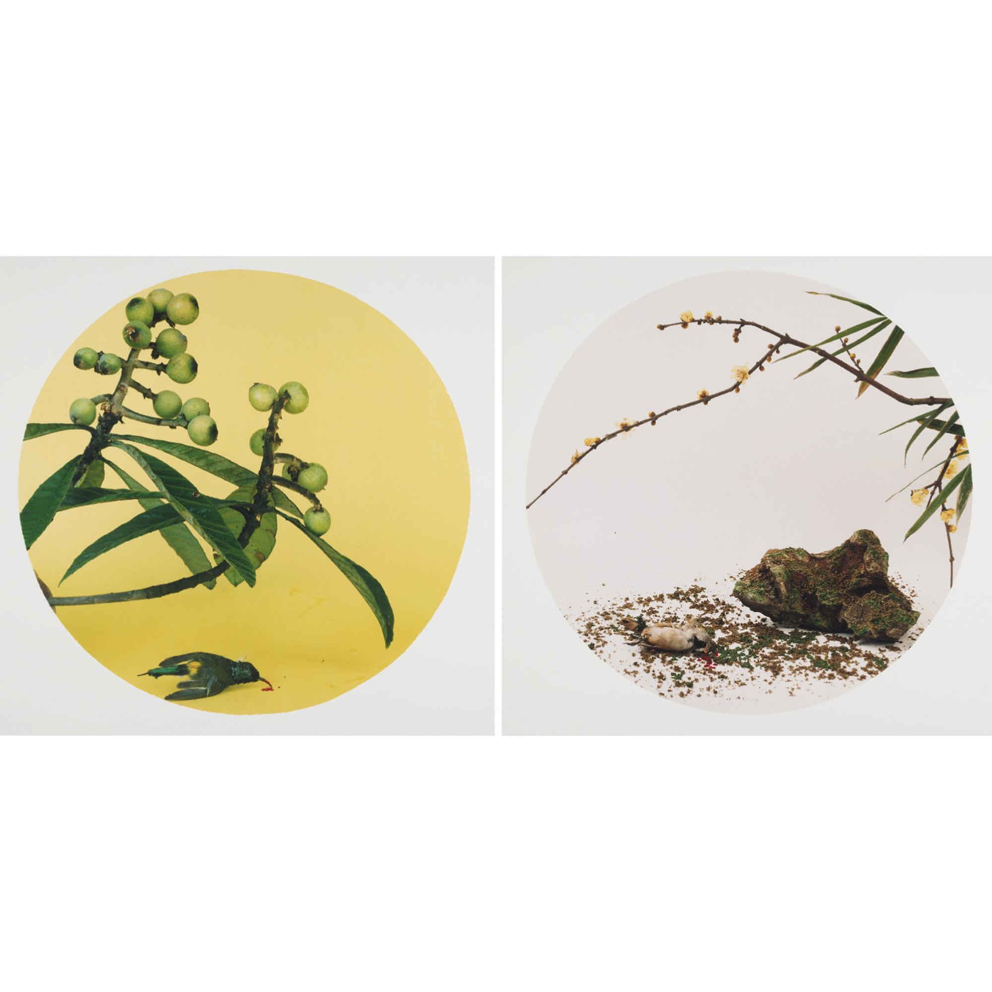 Hong Lei - After The Song Dynasty Painting \