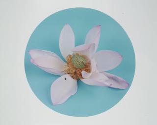 Hong Lei - After The Song Painting \