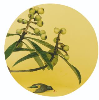 Hong Lei - After The Song Painting Series (Two Works)