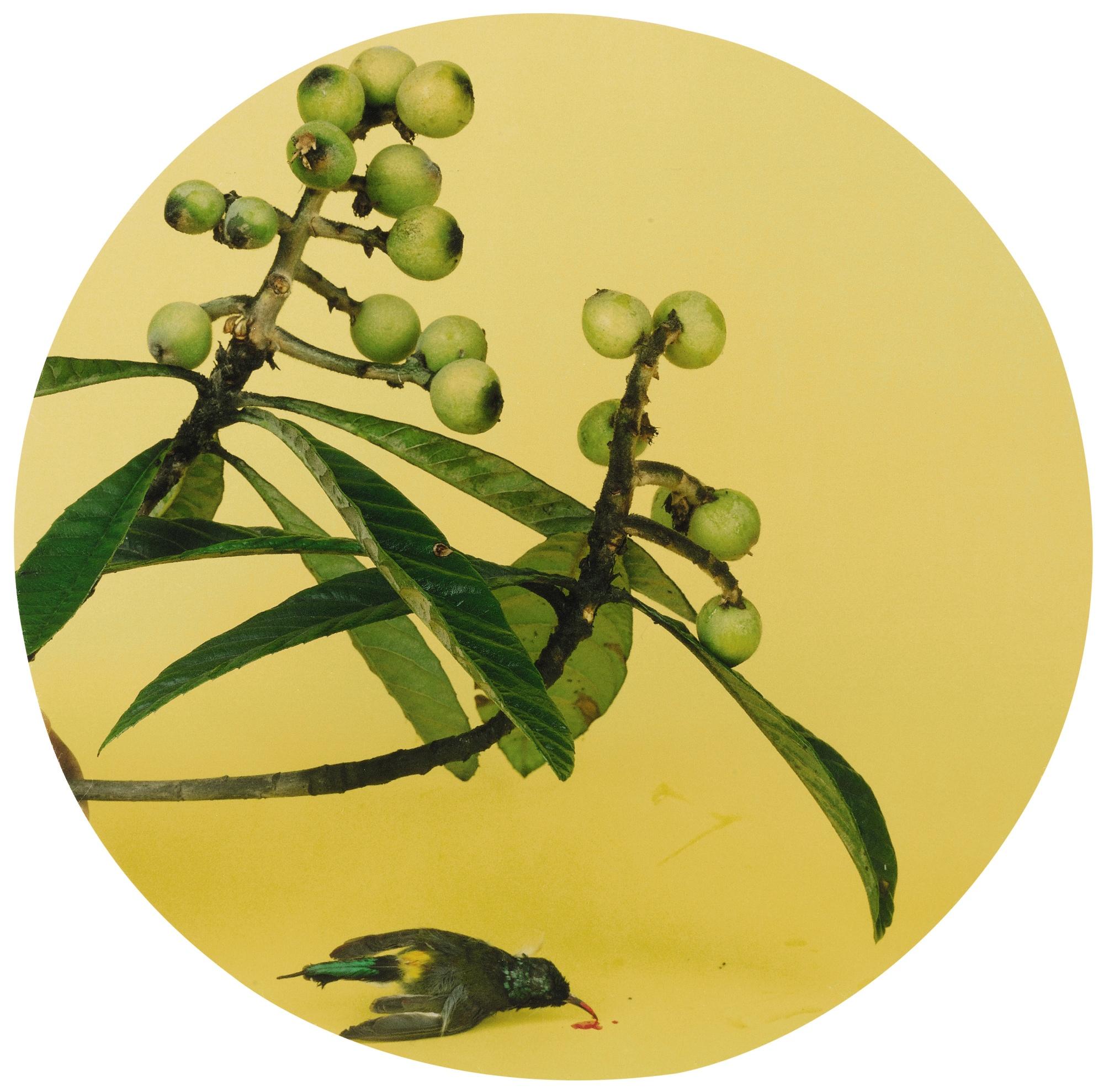 Hong Lei - After The Song Painting Series