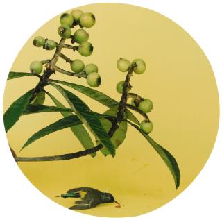 Hong Lei - After The Song Painting Series