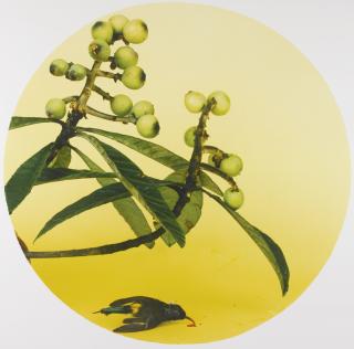 Hong Lei - After The Song Painting Series