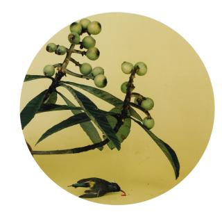 Hong Lei - After Zhao Ji\'S Song Dynasty Painting Of “Loquats And Wild Birds”