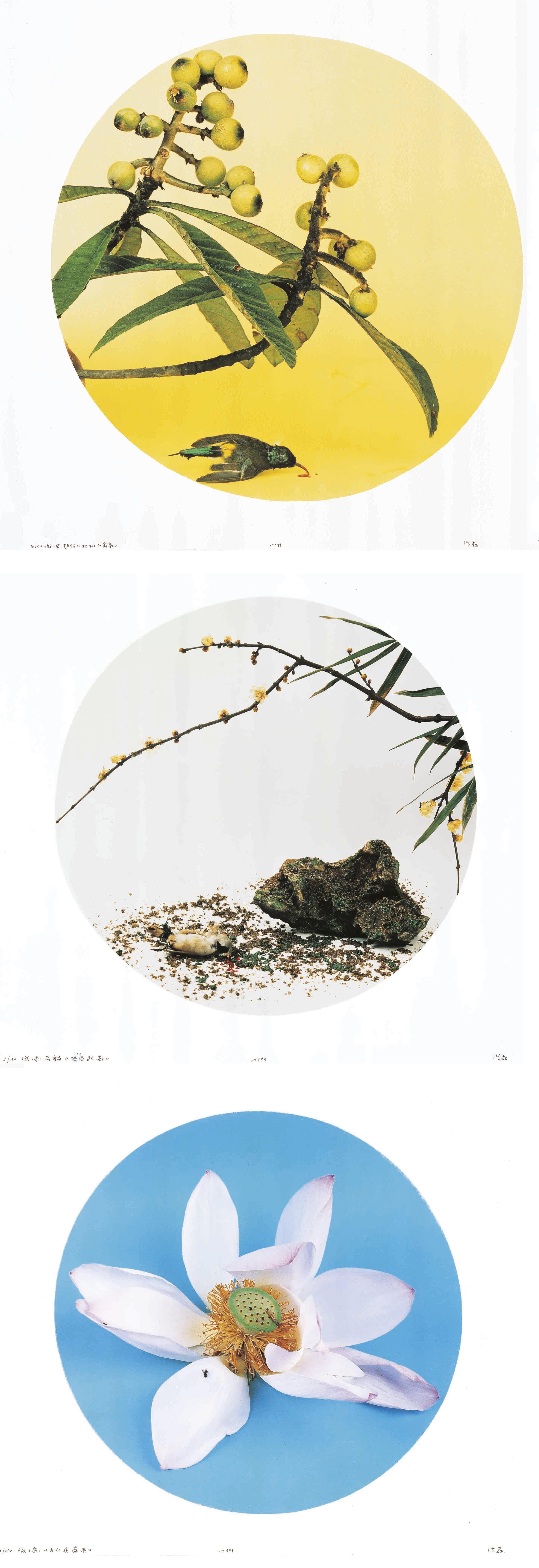 Hong Lei - Bird & Flower Series (After Ma Lin\'s Fragrance with Sparse Shadow, Song Dynasty; After Zhao Ji\'s Loquat and Birds, Song Dynasty & After Wu Bing\'s Lotus from the Water, Song Dynasty)