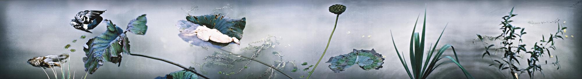 Hong Lei - I Dreamed Of Being Killed By My Father When Flying In Lang Yuan