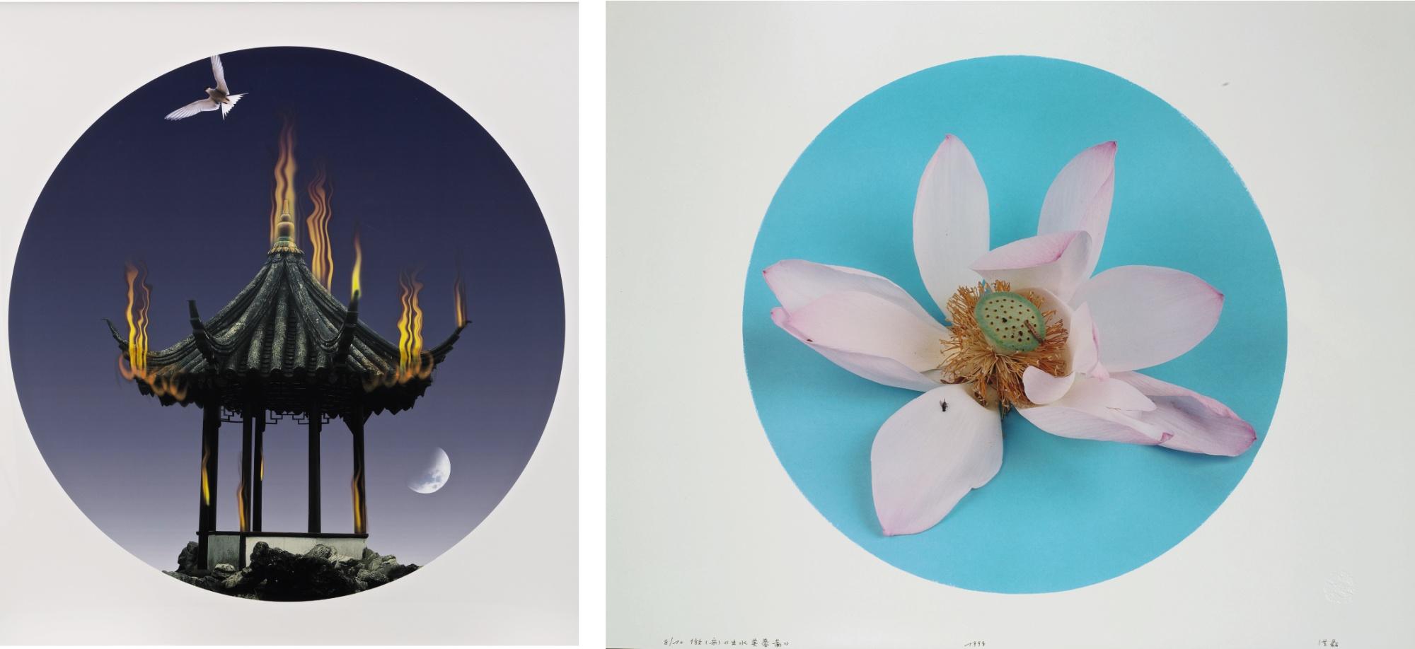 Hong Lei - Peony Pavilion & Lotus From The Water