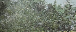 Hong Ling - Breeze Valley