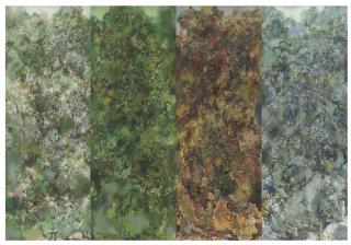 Hong Ling - Spring, Summer, Autumn & Winter