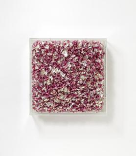 Hong Yi Zhuang - Ohne Titel