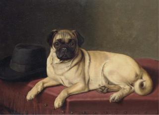 Horatio Couldery - Waiting for Master - A pug on a stool