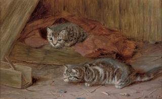Horatio Henry Couldery - A fascinating tail