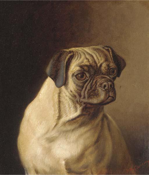 Horatio Henry Couldery - A pug