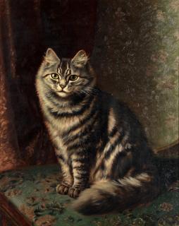 Horatio Henry Couldery - A silver tabby on a chair