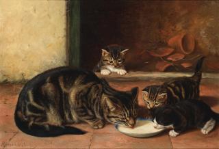 Horatio Henry Couldery - The first lap