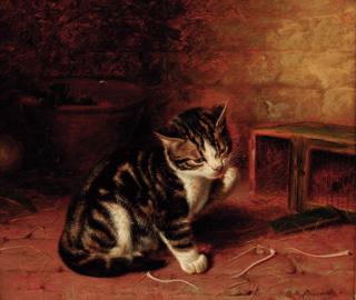 Horatio Henry Couldery - The Naughty Kitten