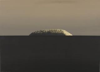 Horia Damian - La Colline