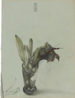 Horst Janssen - Blumenstillleben.