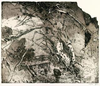 Horst Janssen - Lamme Land