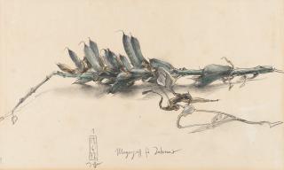 Horst Janssen - „Morgengruss für Johanna“