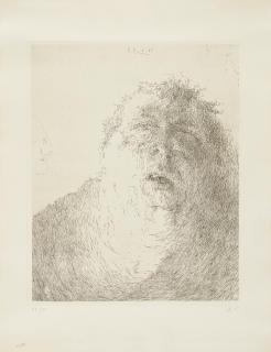 Horst Janssen - Selbst elegisch