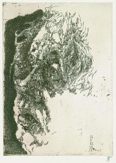 Horst Janssen - Selbstporträt \