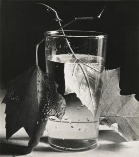 Horst P. Horst - \'Army Leaves\', Fort Belvoir, Virginia, 1944