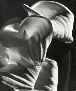 Horst P. Horst - Calla Lily, C. 1945