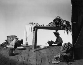 Horst P. Horst - Food Aid to Europe