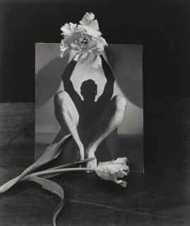 Horst P. Horst - Male Nude with Parrot Tulip, 1989