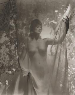 Horst P. Horst - Nude (Lisa) with Money Plant, 1939