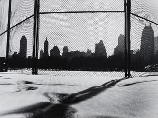 Horst Schäfer - Im Central Park.