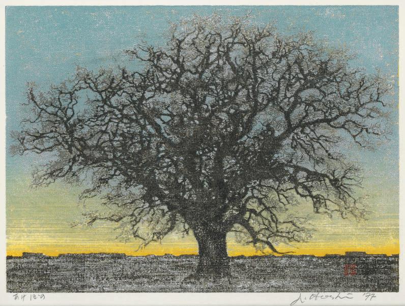 Hoshi Joichi - Akebono [Dawn]