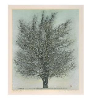 Hoshi Joichi - Ki (kuro) (A tree [black])