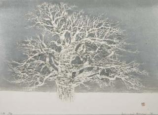 Hoshi Joichi - Shuko (Autumn light)