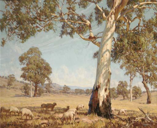 Howard Barron - Murrumbidgee country; and An old gum, Port Stephens, New South Wales