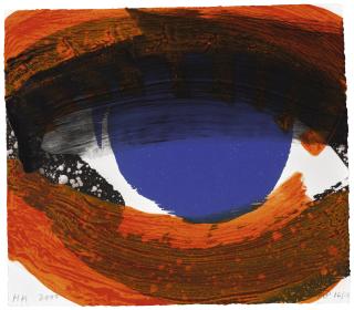 Howard Hodgkin - Eye