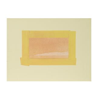 Howard Hodgkin - Indian View G, 1971