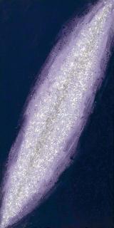 Hsiao Chin - La via lattea-2