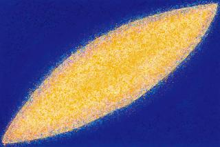 Hsiao Chin - Siddhas(Painted In 2007-2010)