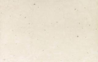 Huan Zhang - Earth life No. 16