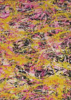 Huang Chih-Yang - Zoon: Dreamscape No.0829