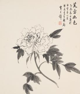 Huang Junbi - Peony