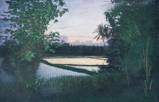 Huang Ming-Chang - A peaceful mind