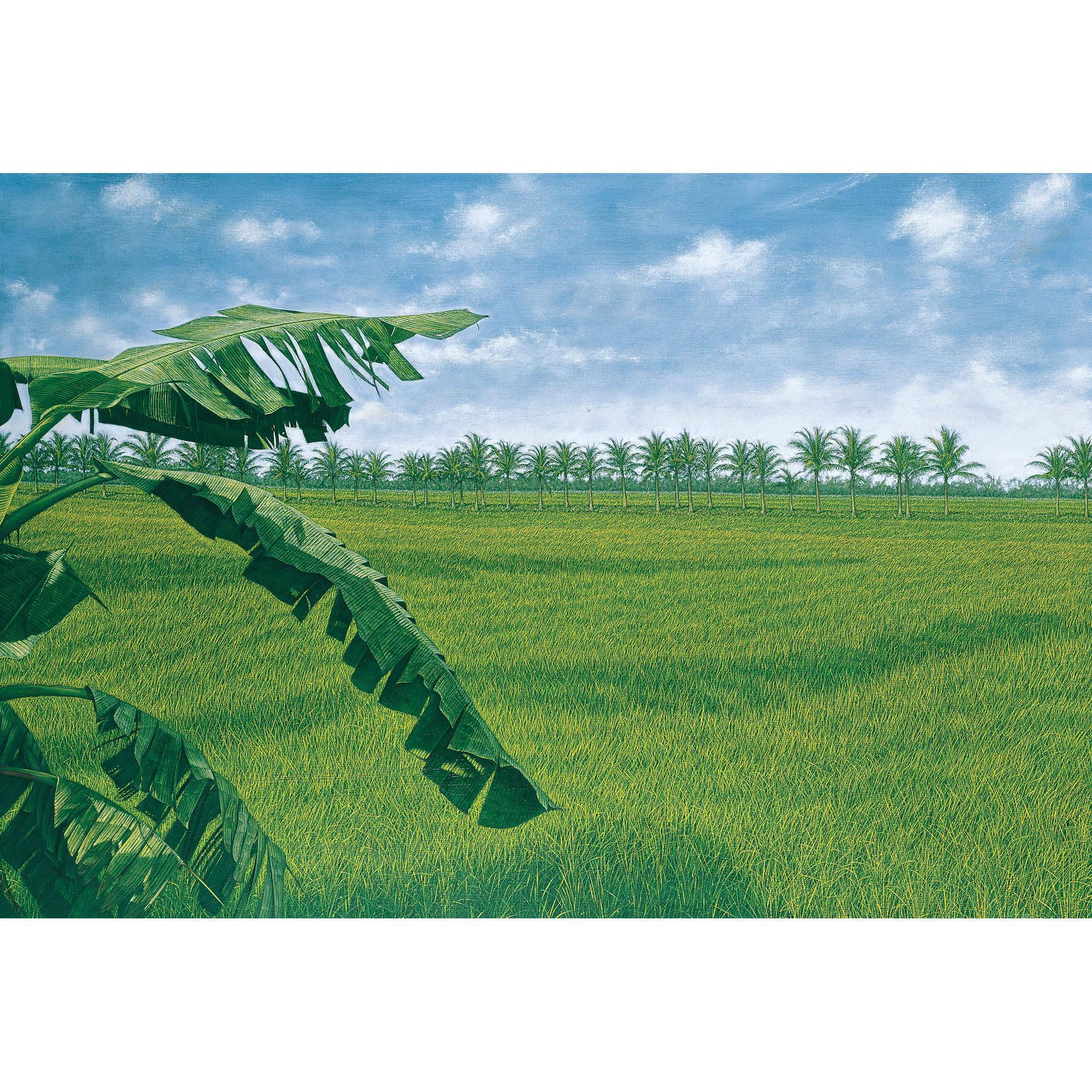 Huang Ming Chang - Rice Field Series - Aweather Banana