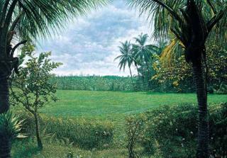 Huang Ming-Ch\'Ang - The Rice Field Series -The Coconut Tree & Rice Field